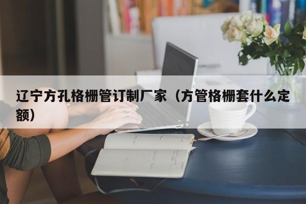 遼寧方孔格柵管訂制廠家（方管格柵套什么定額）