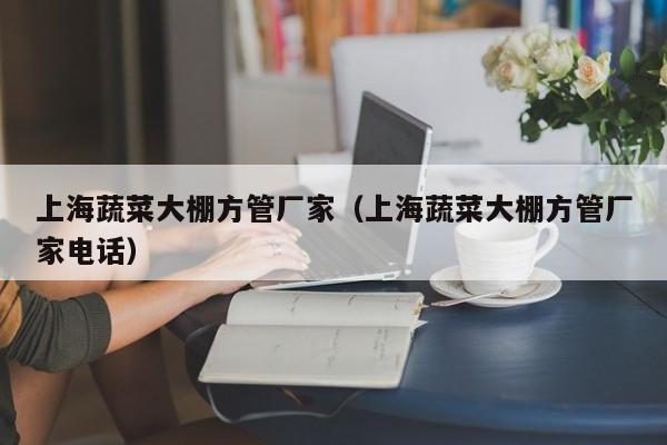 上海蔬菜大棚方管廠家（上海蔬菜大棚方管廠家電話）